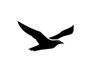 Black Albatross Flying Bird Illustration Logo Silhouette