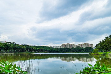 Fototapeta premium Beautiful lake view of Punggol Park in Singapore with blue sky and nice cloud