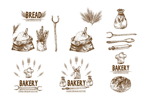 Digital vector detailed line art baked bread