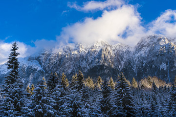 Beautiful winter landscape with Carpati Piatra Craiului mountains in Romania