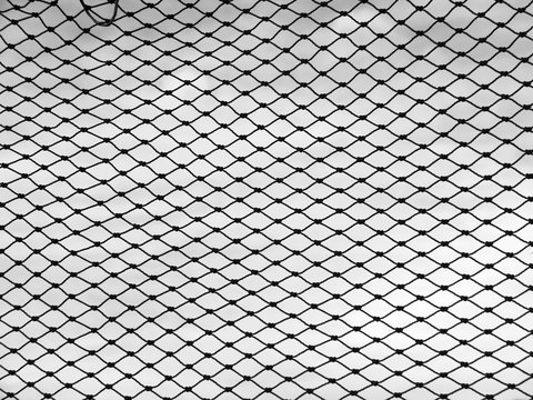 fishing net against a white background