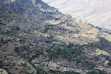 Field terraces in the Ethiopian mountains