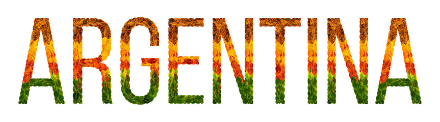word argentina country is written with leaves on a white insulated background, a banner for printing, a creative developing country colored leaves argentina