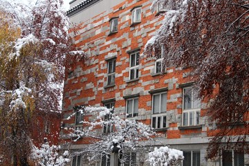 Fototapety na wymiar - Fototapeta24.pl