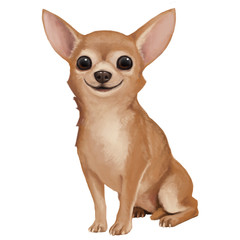 Dog Chihuahua - obrazy, fototapety, plakaty
