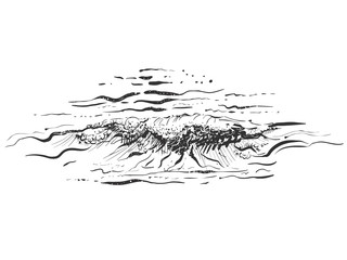 Obraz premium Hand drawn illustration sea wave. sketch. Vector eps 8
