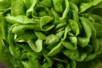 Green romaino salad background