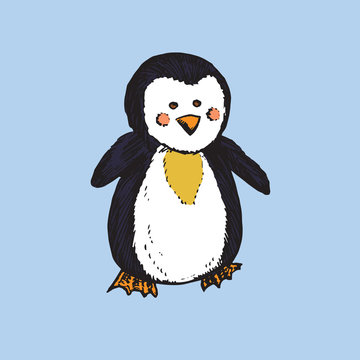 Penguin, hand drawn doodle sketch, isolated vector color illustration