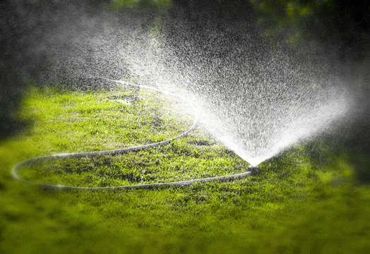 Watering the lawn of a private house with the help of irrigation sprinkler.