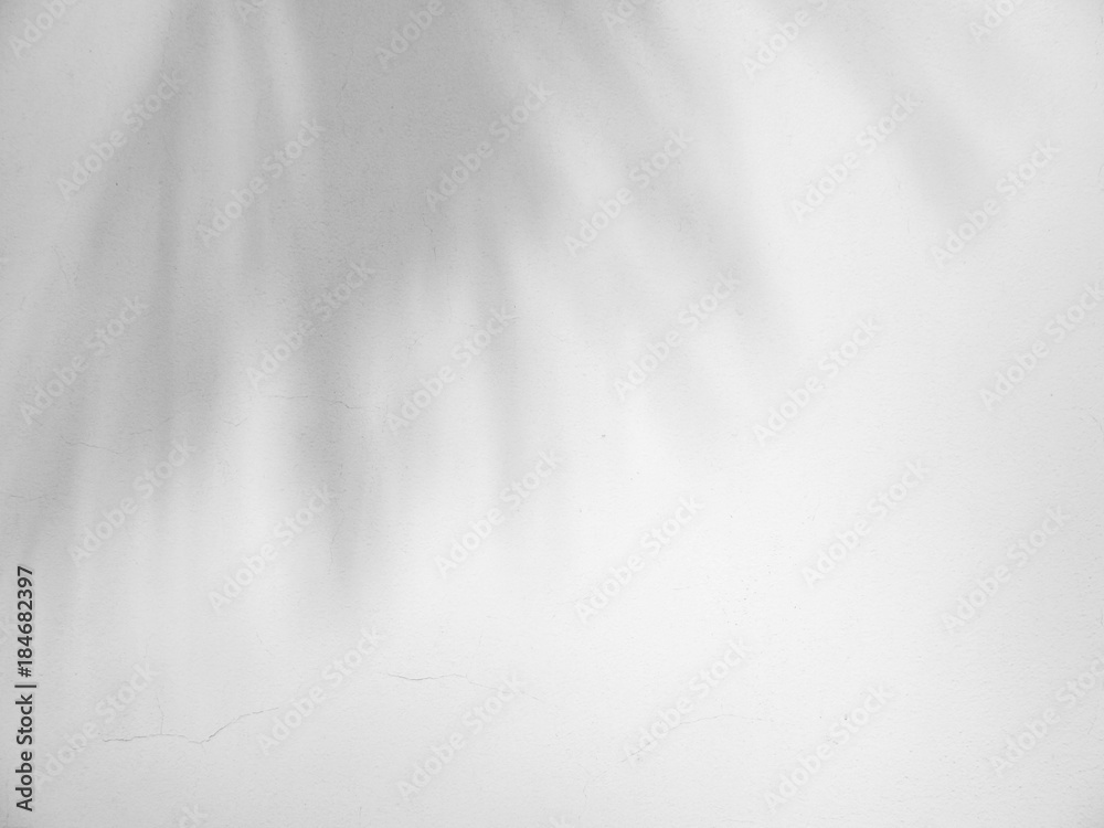 Wall mural shadow of the leaves on a white wall