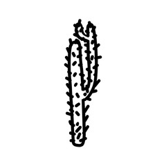 Cactus hand drawn icon 