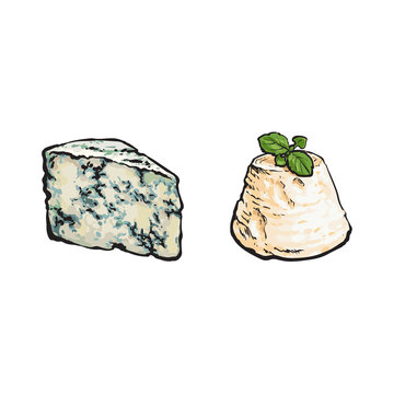 vector sketch wedge of soft blue cheese with mold and italian ricotta with basil leaf set for your design. Isolated illustration on a white background.