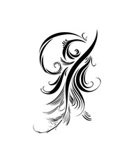 Hand drawn delicate anemone flower calligraphy style