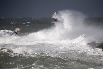 Eine Sturmflut an der Nordsee