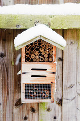Insect nesting box