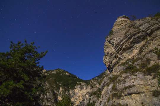 Starry night over the mountains. Pine trees  and rock in the foreground.