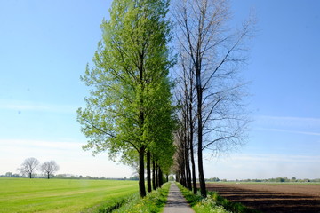 Obraz premium Atitude