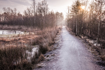 Wanderweg im kalten Winter bedeckt mit Frost