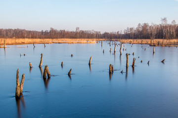 Zugefrorener See am Morgen