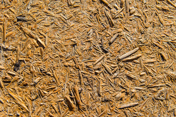 Texture of osb board for background