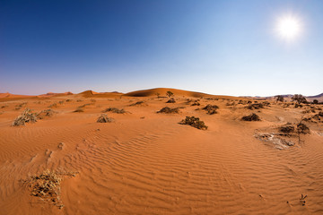 Sand dunes in the Namib desert at dawn, roadtrip in the wonderful Namib Naukluft National Park, travel destination in Namibia, Africa.