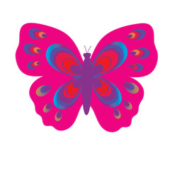 Flat vector image of a butterfly. Beautiful butterfly isolated on white background. Illustration for designer