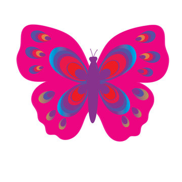 Flat vector image of a butterfly. Beautiful butterfly isolated on white background. Illustration for designer