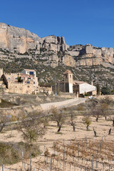 La Morera de Montsant, El Priorat, Tarragona province, Catalonia, Spain