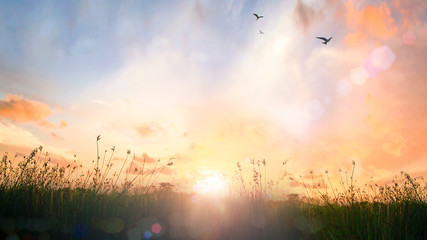 Happy thanksgiving day concept: Beautiful meadow and sky autumn sunrise background