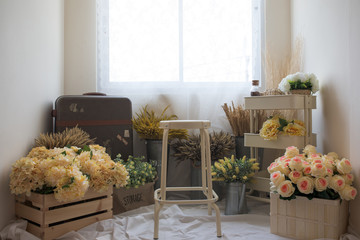 Flower shop background