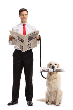 Elegant guy with a newspaper and a labrador retriever dog with a newspaper