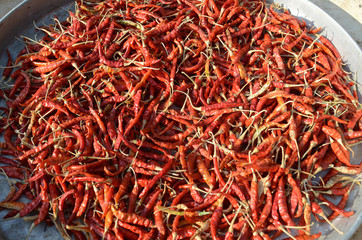 Fototapeta premium chili in thailand