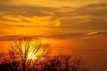 Fototapeta na wymiar Orange sun and clouds in the background of trees