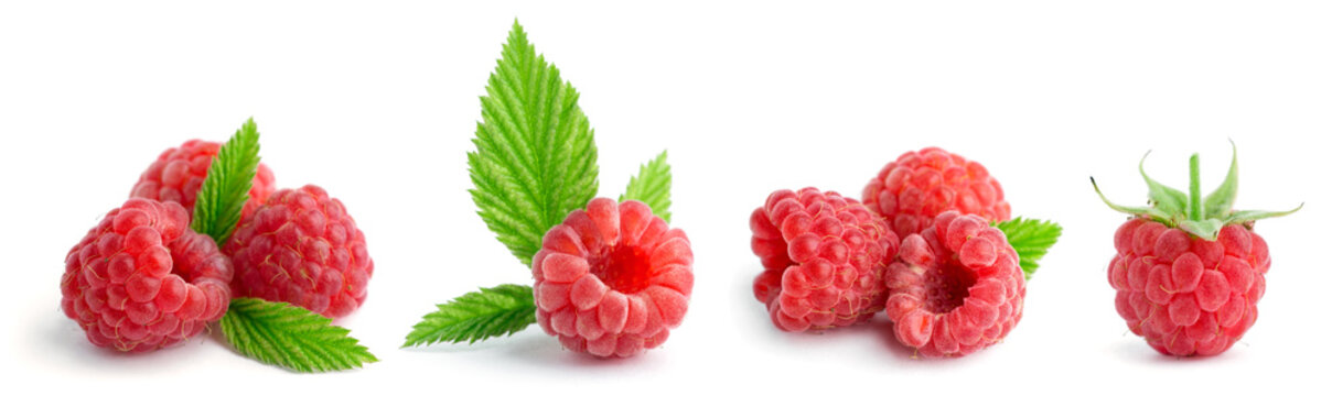 Collection of sweet raspberries