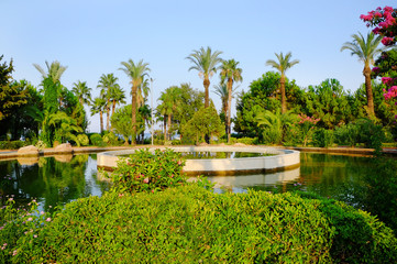 Fototapeta na wymiar View of beautiful park with pond and tropical palms at resort