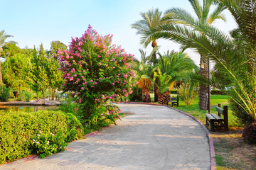 View of beautiful park with tropical palms at resort