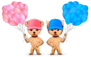 Funny animal keep a bunch of balloons