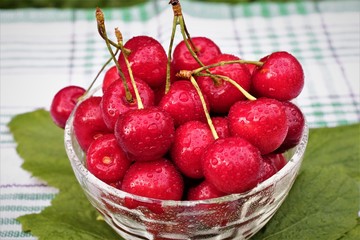 Ягоды вишни. Крупная, красная ягода. Прекрасная для приготовления соков, компота, джема.