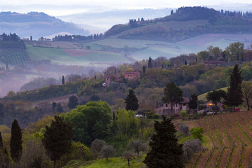 Fototapeta na wymiar Typical Tuscan landscape