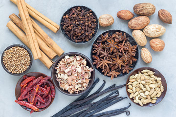 Different kinds of aromatic winter spices in bowls and on gray concrete background, top view, horizontal