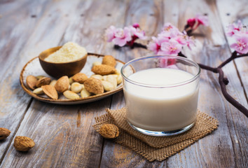 Obraz na płótnie Canvas Non dairy vegan almond milk in a tall glass