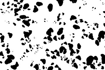 Dalmatian print background