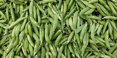 Indian pea pods