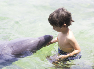 Vacation Lifestyle -Happy Boy hugging a dolphin