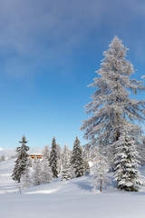 Sunny and snowy day in mountains 