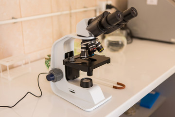 Wine factory Production. Southern quality wine