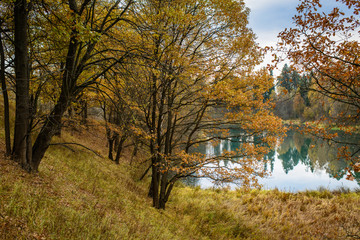 Autumn trees around a lake
