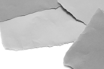 paper tear isolated on white background, copy space.