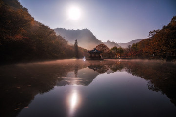 Autumn Maple  in Naejangsan national park, South korea