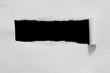 pieces of torn paper. copy space